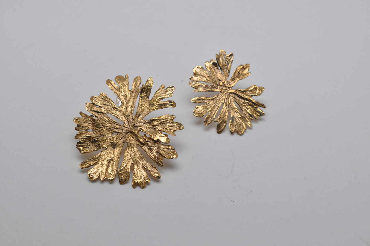 Stelle di Natale