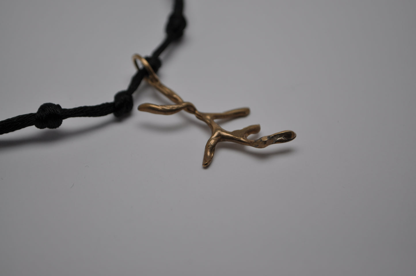 Cordino - branch