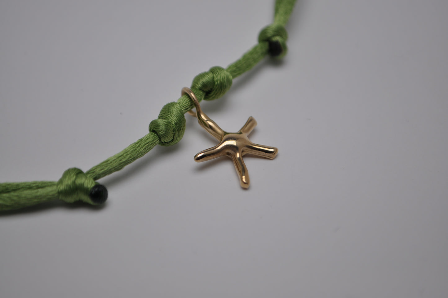 Cordino - seastar