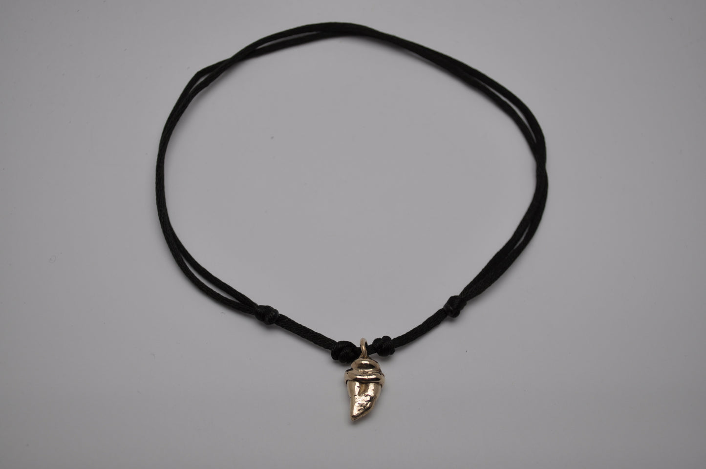 Cordino - tooth