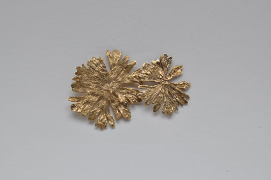 Stelle di Natale