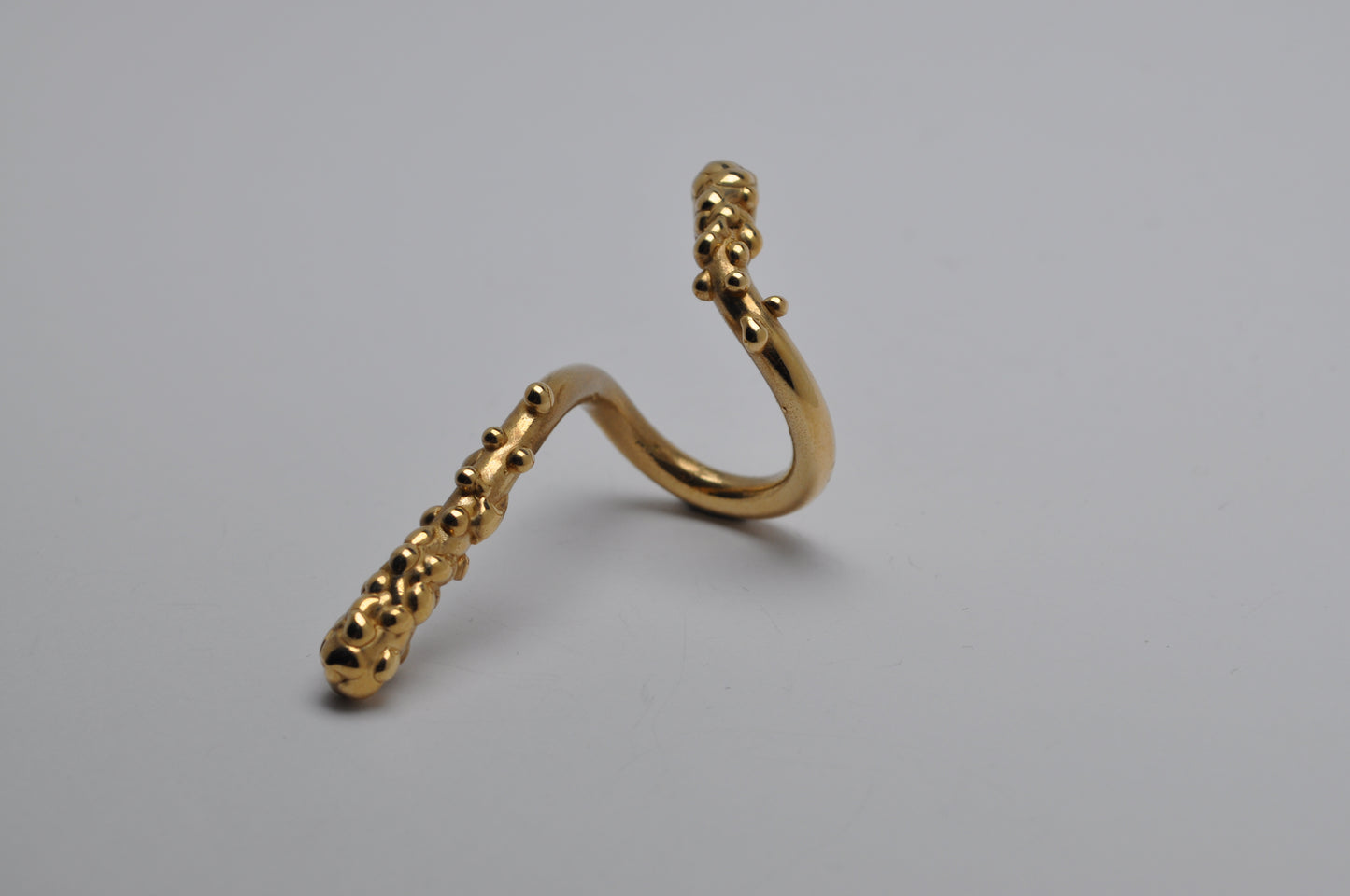 Thorn ring