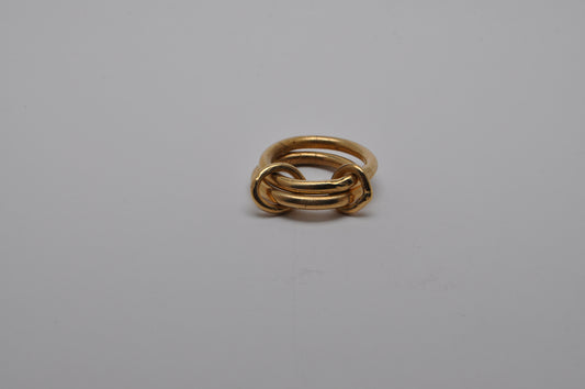 Double chain ring