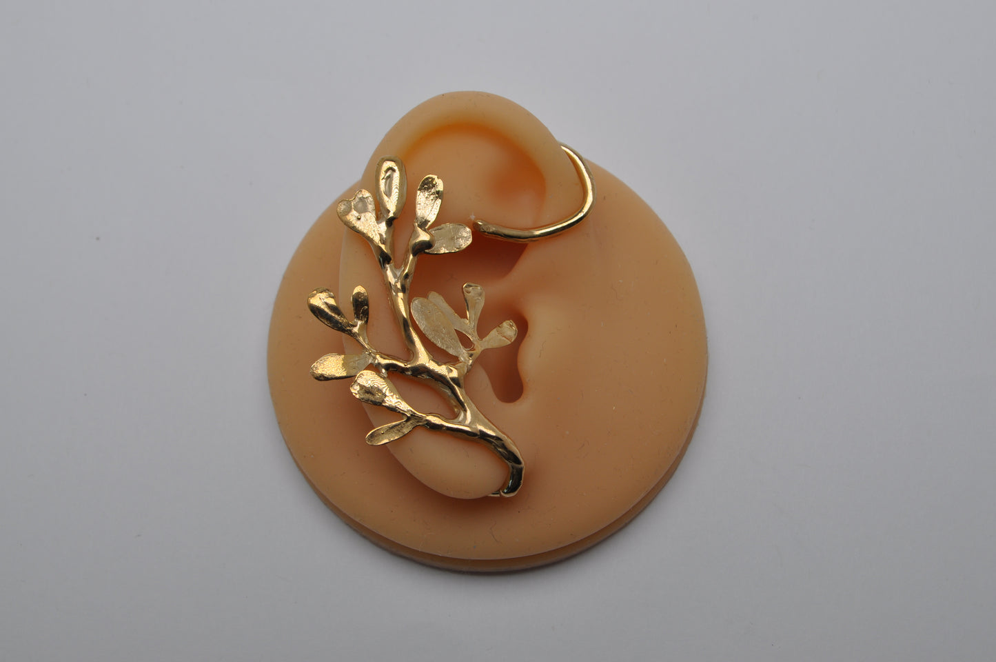 Cuff - botanical