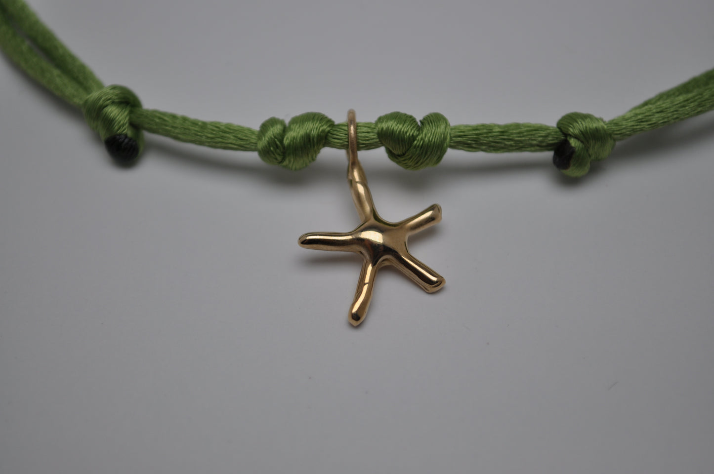 Cordino - seastar
