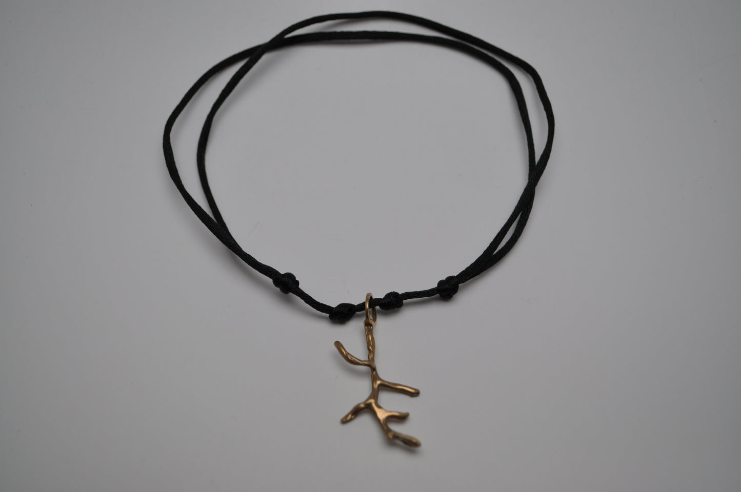 Cordino - branch
