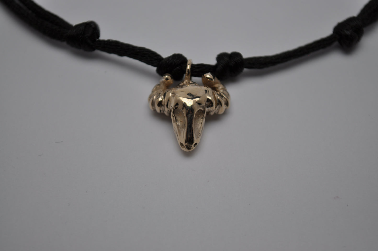 Cordino - Taurus
