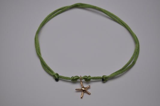 Cordino - seastar
