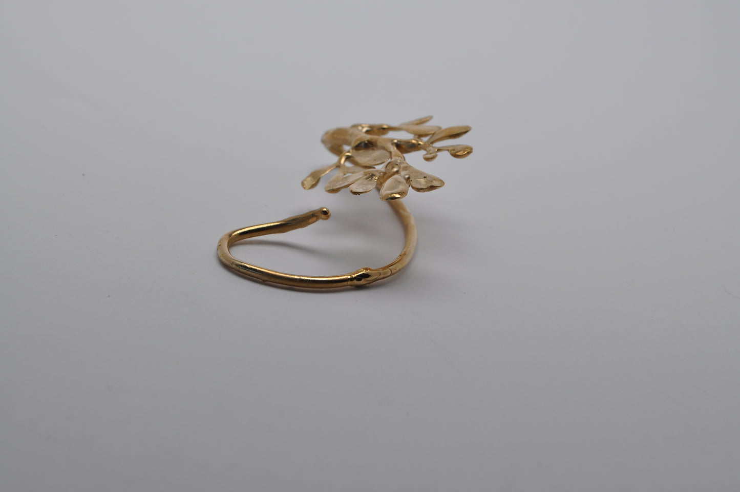 Cuff - botanical