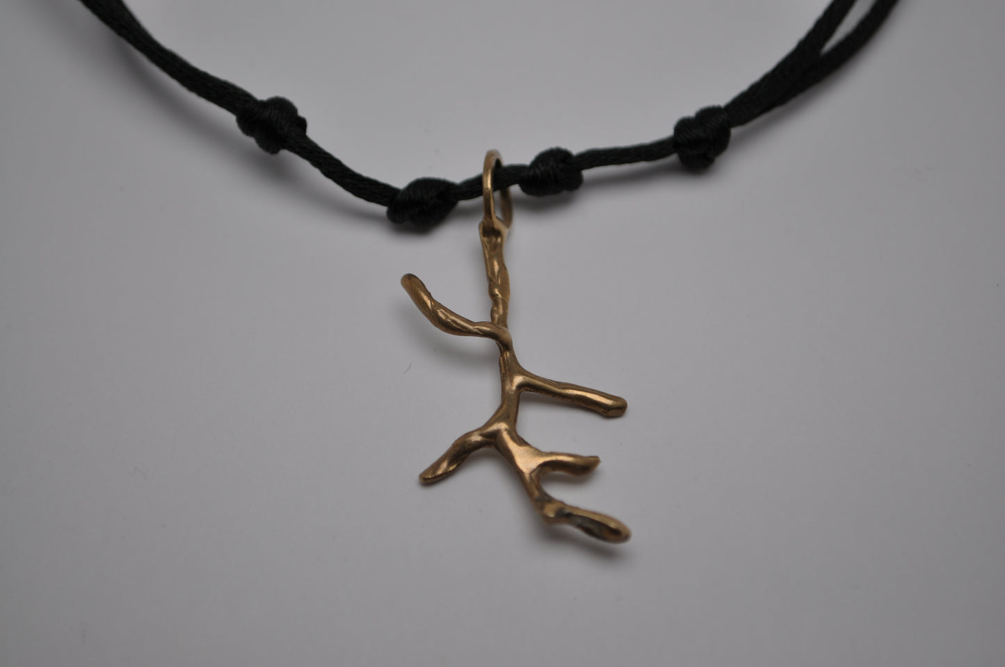 Cordino - branch