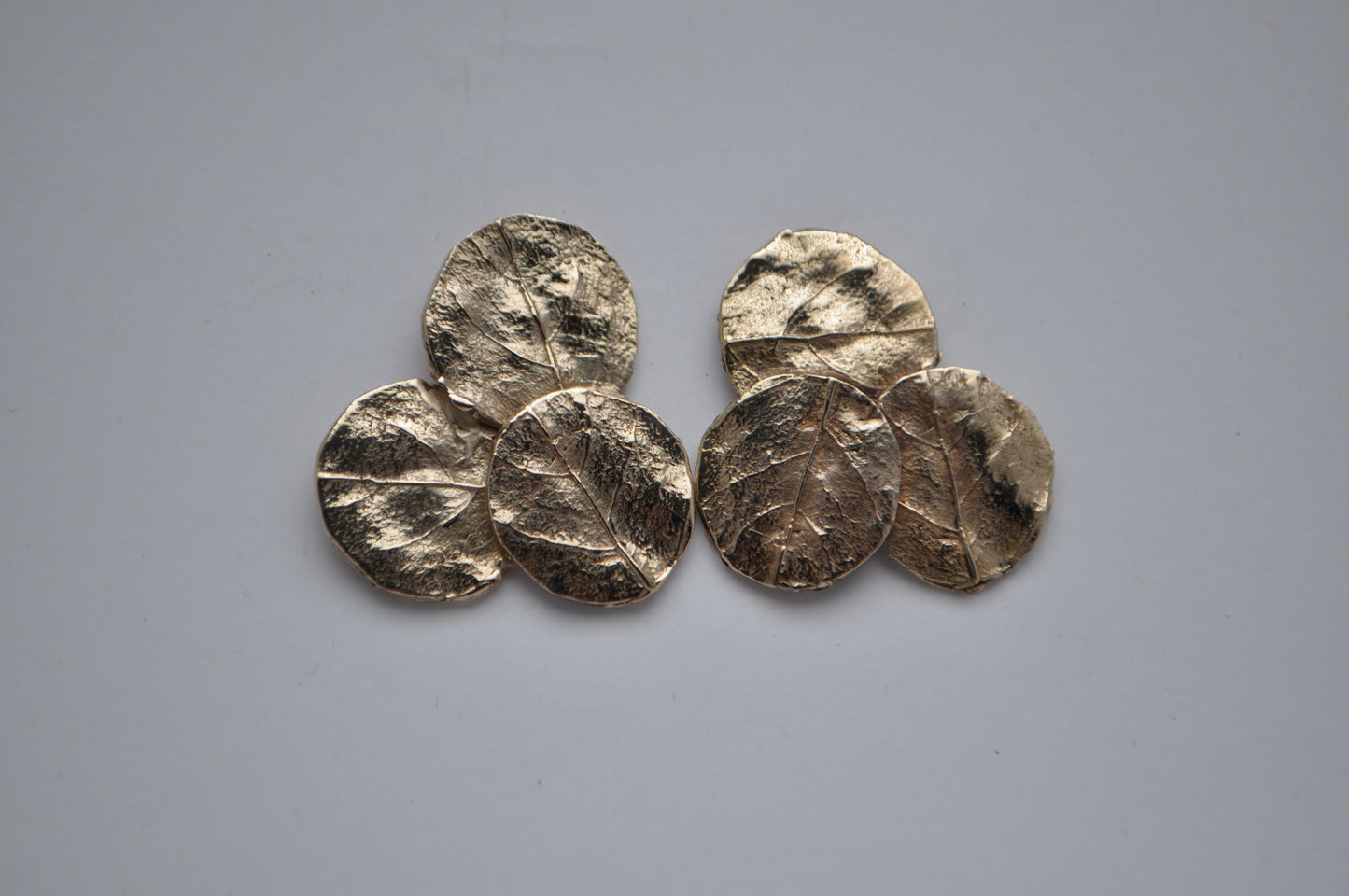 3eucaliptus earrings