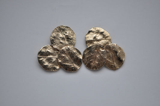 3eucaliptus earrings